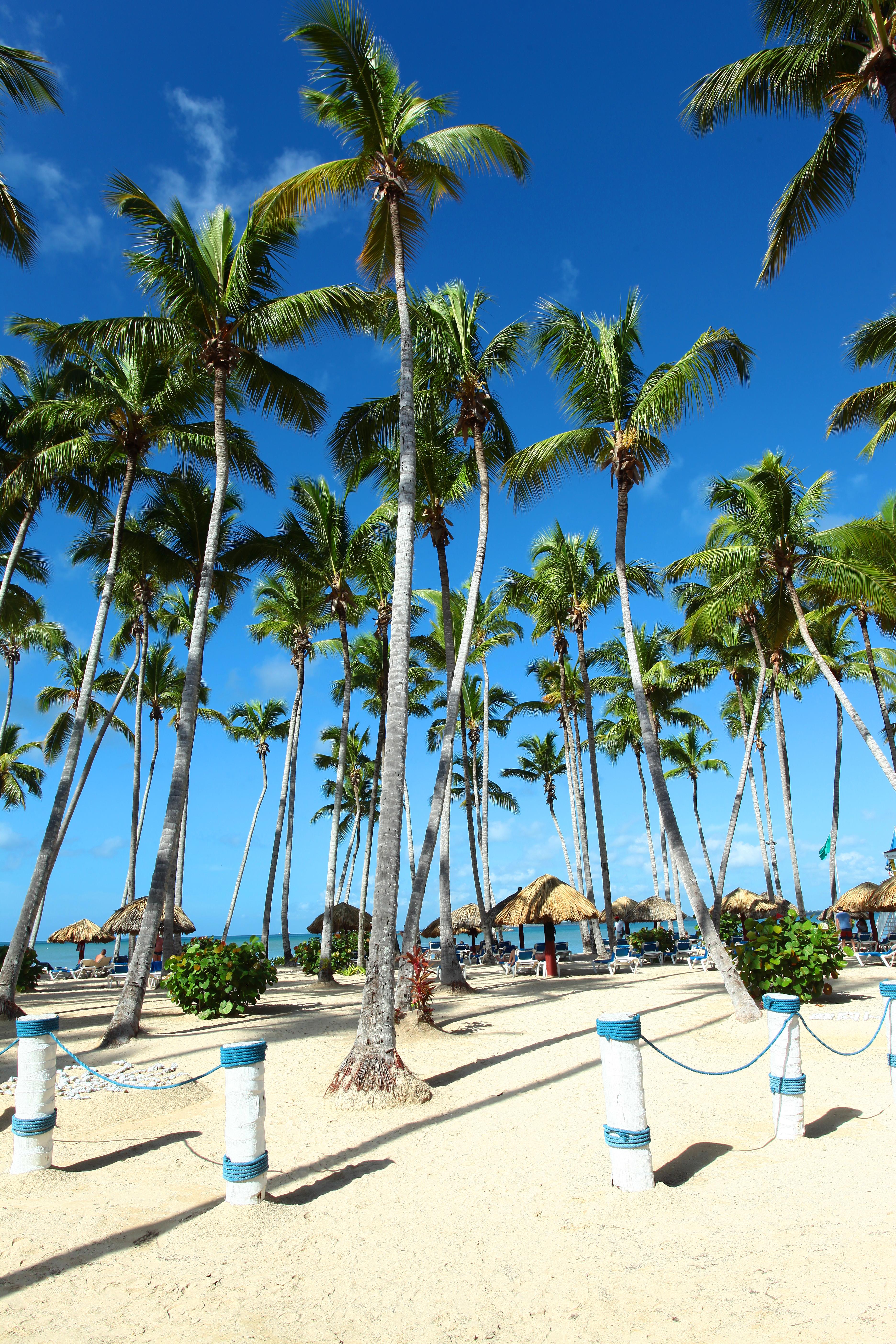 Bahia Principe Grand La Romana (Adults Only) Hotel Exterior photo